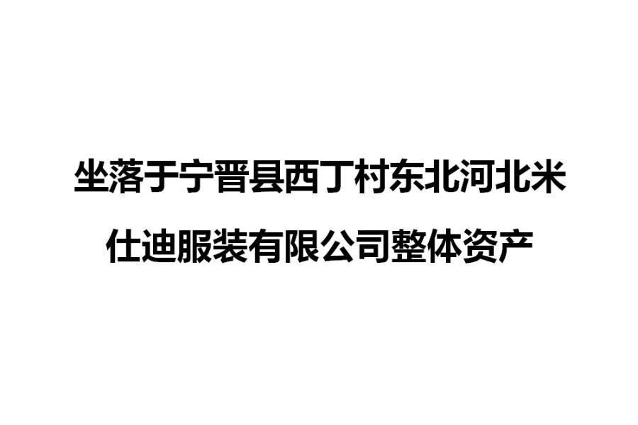 坐落于宁晋县西丁村东北河北米仕迪服装有限公司整体资产