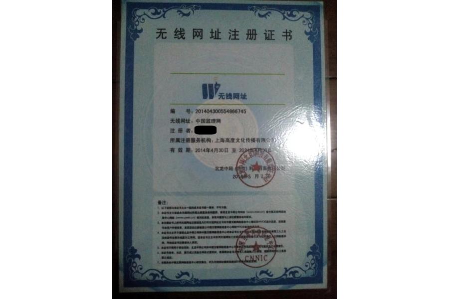 域名：中国监理网