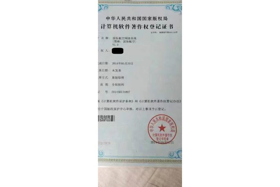 域名：国际航空行业