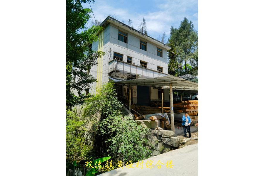 双流镇黄垭村2社原双流粮管所综合楼1层、2-3层、厕所、3号粮仓、厕所