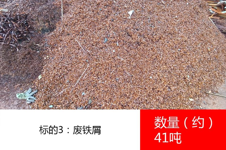 标的3：废铁屑（数量约41吨）、废氧化铁（数量约60吨）。参考价分别为：1200元/吨、900元/吨