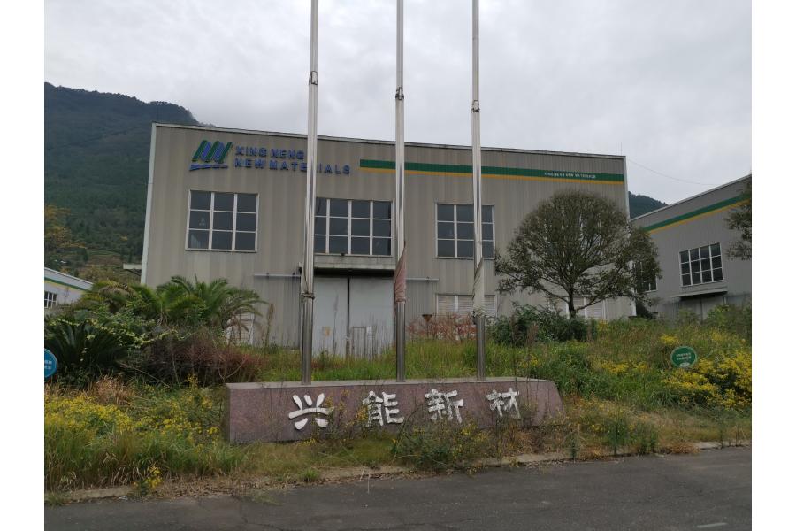 整体资产-包括：①土地使用权（证载面积296706.24m²）;②房屋建(构)筑物（证载面积 64862.06m²）;③在建工程建(构)筑物；④设备（机器设备、车辆、电子设备等）;⑤发明专利 8 项；