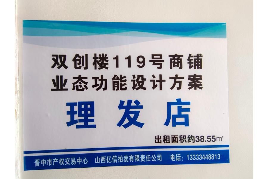 标的十四：双创楼119号商铺租赁权