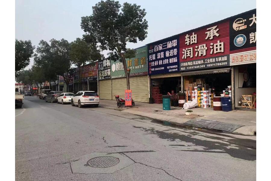 位于迎宾大道以北、湖滨西路以东大桥·一品园58亩地块部分土地的一年租赁权