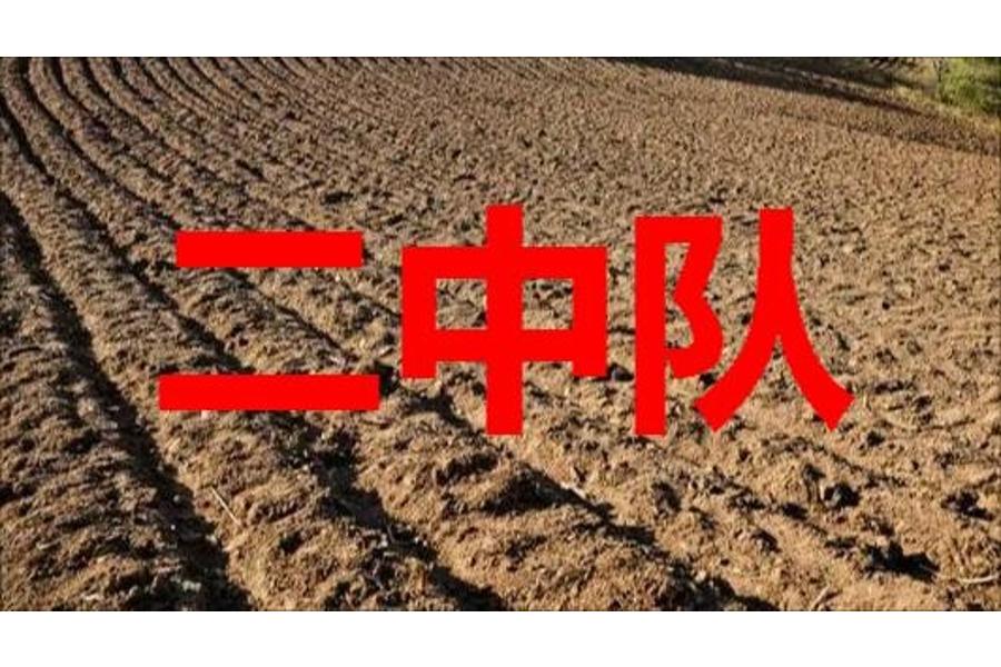 地块0001