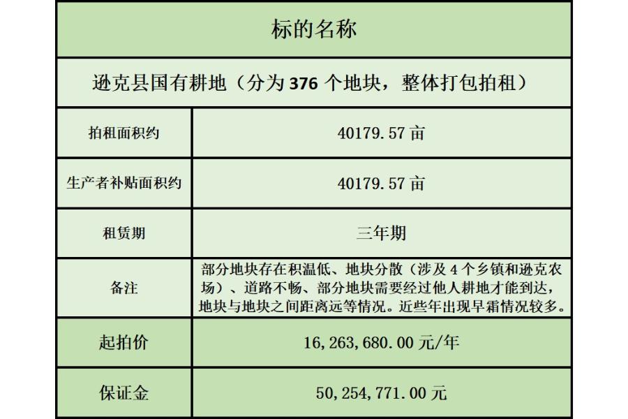 逊克县国有耕地（分为376块地块，整体拍卖）