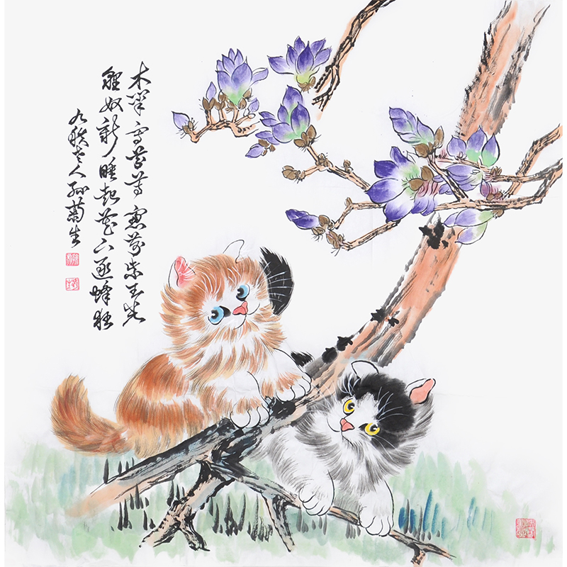 孙菊生 附合影 百岁猫王 【猫趣图】的来源图片