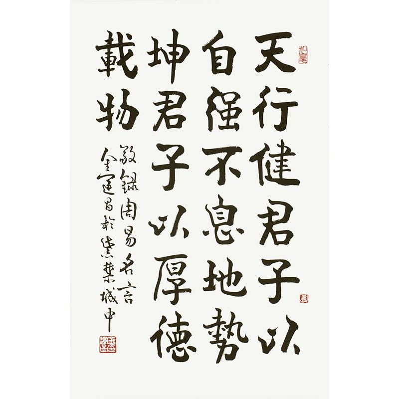 金运昌 附合影 北京故宫博物院古书画部副主任 【天行健】的来源图片