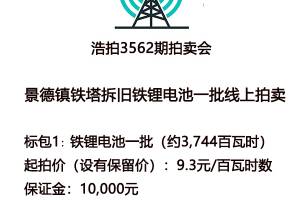 【标的1】标的名称：铁锂电池（约3,744百瓦时）的来源图片