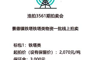 【标的1】标的名称：铁塔类的来源图片
