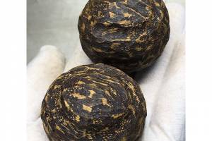 虫漏王金丝瘤疤结沉香手把件 【规格】随形长3.9宽3.8厚3.8规格，的来源图片