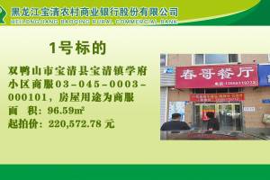 1.双鸭山市宝清县宝清镇学府小区商服03-045-0003-000101的来源图片