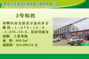3.双鸭山市宝清县万金山乡万隆村-1-275-12-8、双鸭山市宝清县万金山乡万隆村-1-275-12-2、双鸭山市宝清县万金山乡万隆村的来源图片