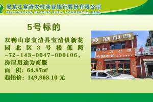 5.双鸭山市宝清县宝清镇新花园北区3号楼低跨-72-143-0047-000106的来源图片