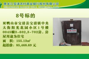 8.双鸭山市宝清县宝清镇中央大街阳光花园小区1号楼0045幢3-602,3-702房的来源图片