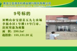9.双鸭山市宝清县五九七农场幸福小区1号楼19号门市的来源图片