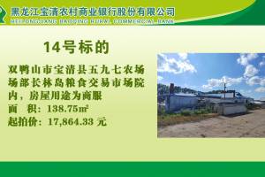 14.双鸭山市宝清县五九七农场场部长林岛粮食交易市场院内的来源图片