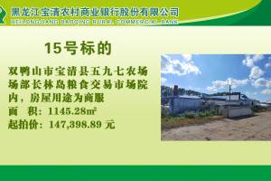 15.双鸭山市宝清县五九七农场场部长林岛粮食交易市场院内的来源图片