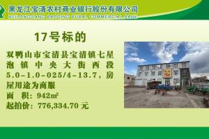 17.双鸭山市宝清县宝清镇七星泡镇中央大街西段5.0-1.0-025/4-13.7的来源图片