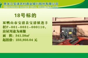 18.双鸭山市宝清县宝清镇连丰村LF-001-0031-000110的来源图片