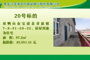 20.双鸭山市宝清县青原镇7-8-31-28-22的来源图片