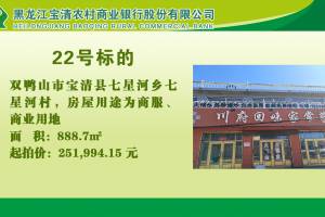 22.双鸭山市宝清县七星河乡七星河村的来源图片