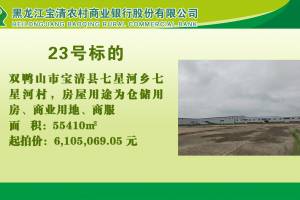 23.双鸭山市宝清县七星河乡七星河村的来源图片