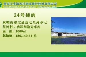 24.双鸭山市宝清县七星河乡七星河村的来源图片