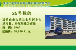 25.双鸭山市宝清县七星河乡七星河村的来源图片