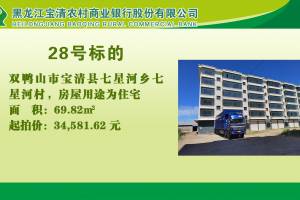 28.双鸭山市宝清县七星河乡七星河村的来源图片