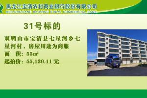 31.双鸭山市宝清县七星河乡七星河村的来源图片