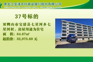 37.双鸭山市宝清县七星河乡七星河村的来源图片