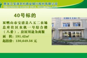 40.双鸭山市宝清县八五二农场总库住区农机一号综合楼（八委）的来源图片