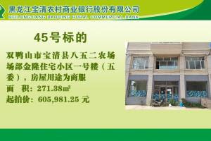 45.双鸭山市宝清县八五二农场场部金隆住宅小区一号楼（五委）的来源图片
