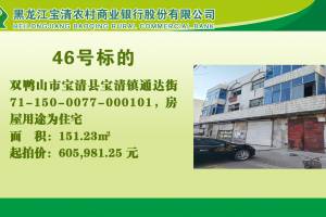 46.双鸭山市宝清县宝清镇通达街71-150-0077-000101的来源图片