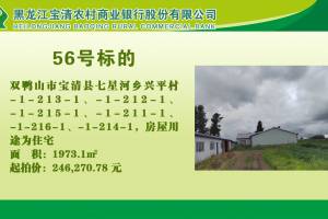56.双鸭山市宝清县七星河乡兴平村-1-213-1、双鸭山市宝清县七星河乡兴平村-1-212-1、双鸭山市宝清县七星河乡兴平村-1-215-1、双鸭山市宝清县七星河乡兴平村-1-211-1、双鸭山市宝清县七星河乡兴平村-1-216-1、双鸭山市宝清县七星河乡兴平村-1-214-1的来源图片