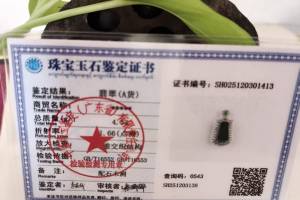 冰种帝王绿 天然翡翠，平安无事牌吊坠的来源图片
