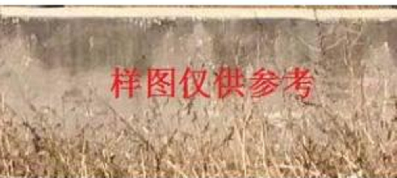 8月21日唐山街道办事处废旧资产一批拍卖公告