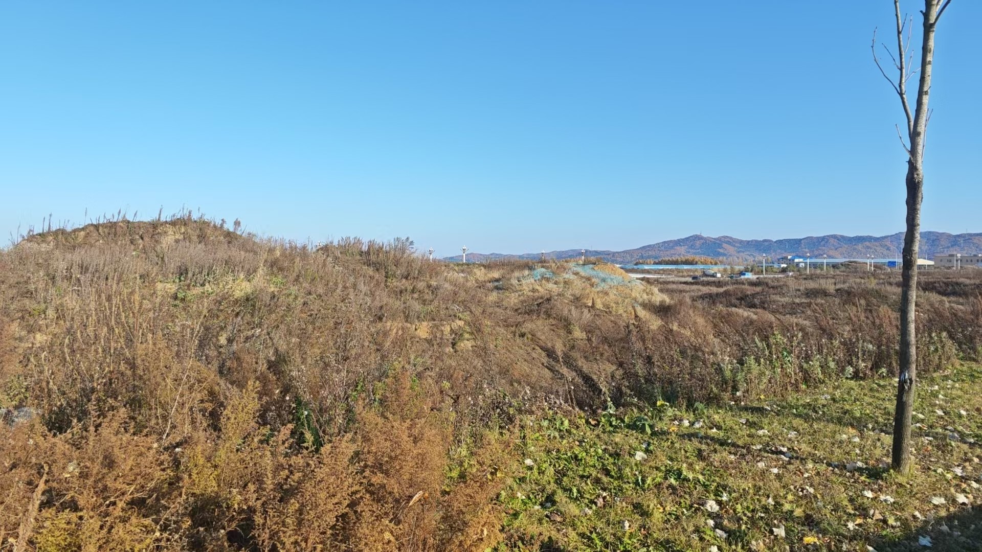 10月29日白山自然资源和林业局表土剥离土方拍卖公告