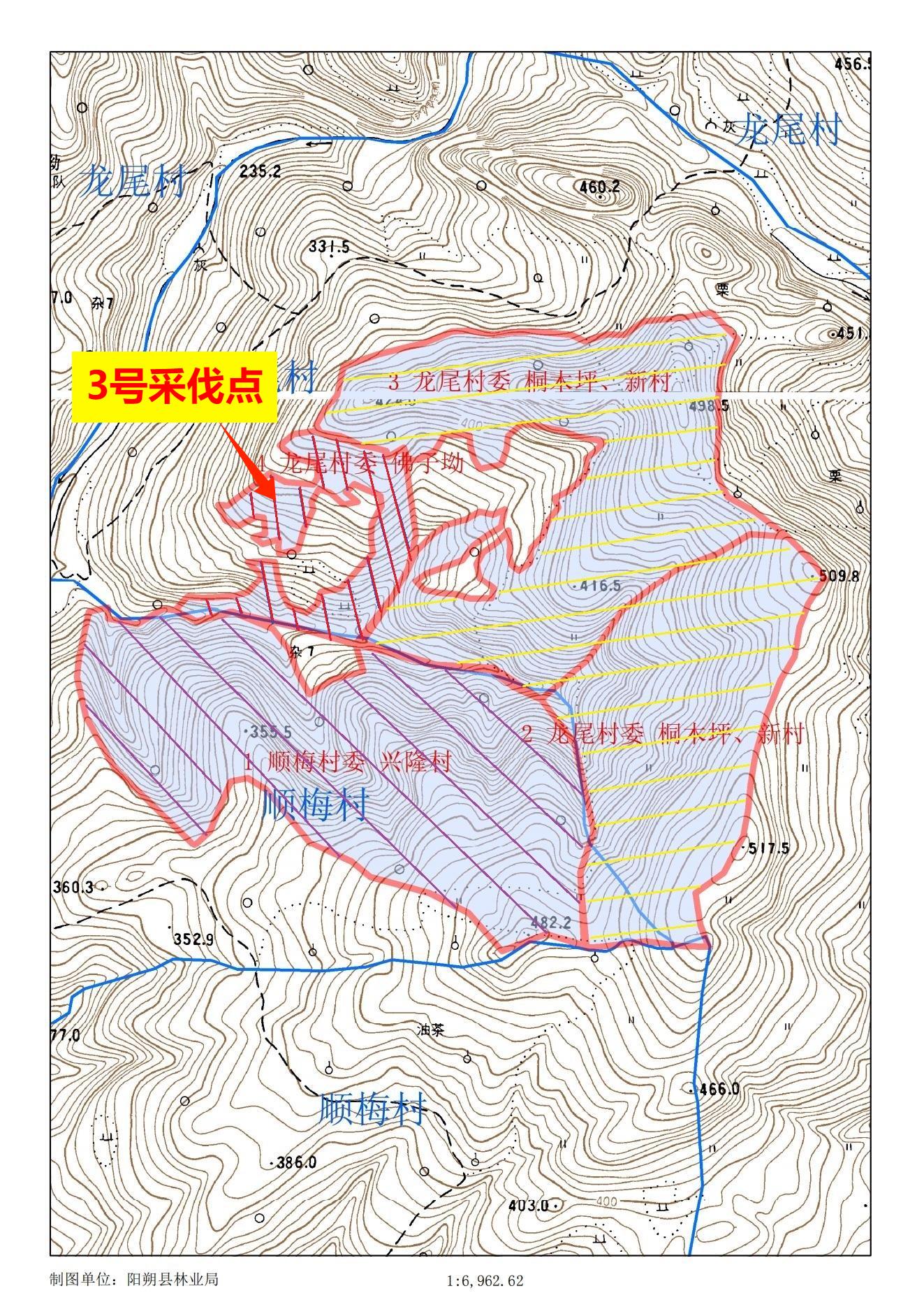 11月21日桂林林木采伐权拍卖公告