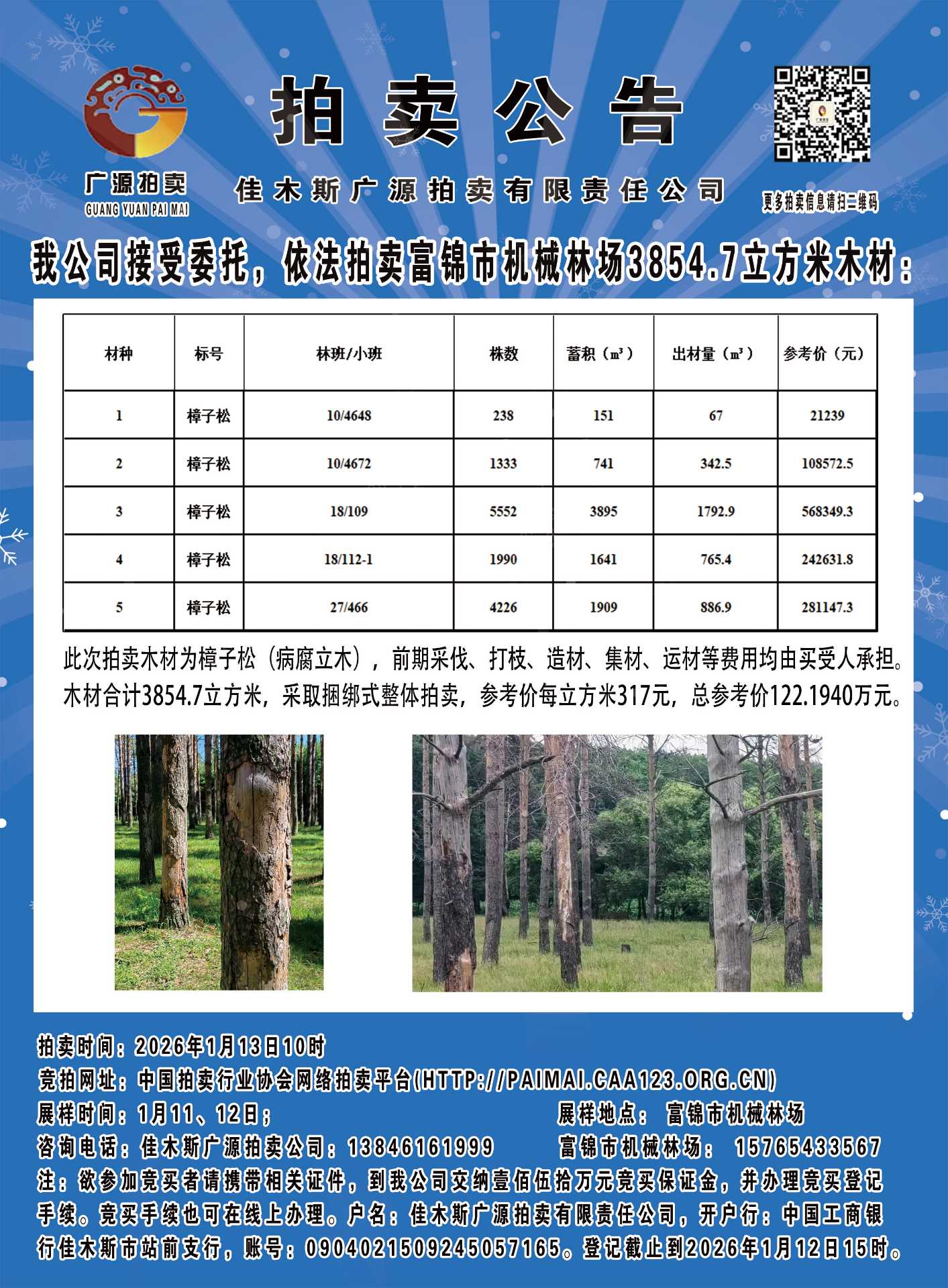 1月13日佳木斯机械林场约3854.7立方米樟子松（病腐立木）拍卖公告