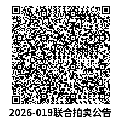 1月23日湛江玄武岩石头、土石方拍卖公告